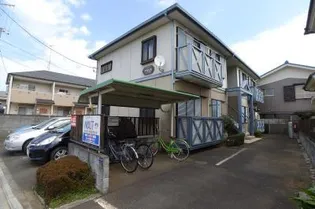 MAST カモミールの画像