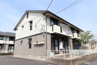 コーラルBの画像