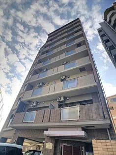 さくらヒルズ鴨池壱番館【7階】の外観