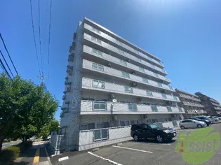 ディオホリⅠの画像