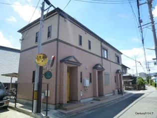 シャンドゥオルキデの画像