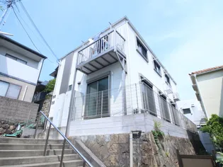 ホワイトベアードの画像