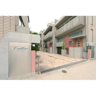 コリーヌ等々力の画像