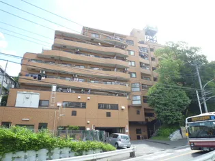 ダイアパレス向ヶ丘遊園IIの画像