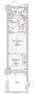 ガーラ・プレシャス練馬【1階】の間取り