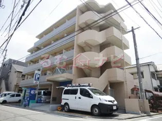 パインテール高宮東の画像