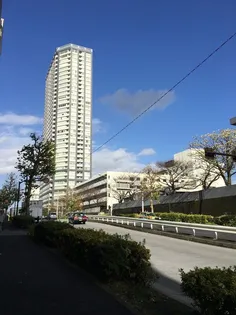 ザ センター東京の画像