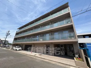 シュテルン中柳の画像