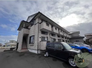 ソウ ヴィオラの画像