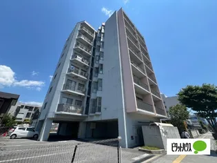 ブリランテサクラの画像