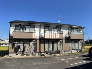 エルマーナBの画像