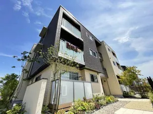 シャンティの画像