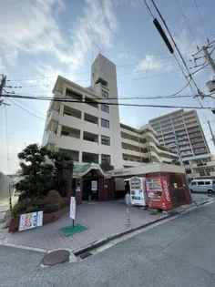 フローレス2の画像