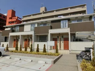 カームリーの画像