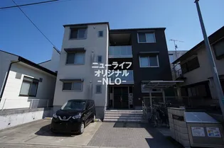 アンビエラの画像