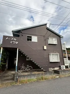 メープルイワタの画像
