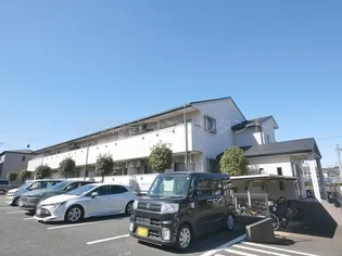 ドルチェの画像
