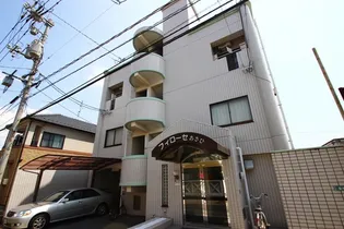 フィローセあさひの画像