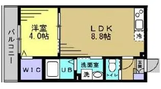 マロン クレール【2階】の間取り