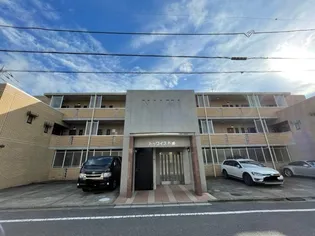 トゥワイス新美の画像