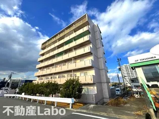 徳島県徳島市川内町金岡【マンション】の外観