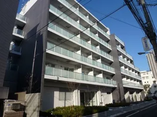 クリプトメリア目黒の画像