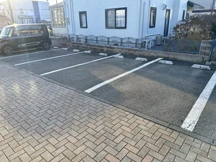 フローラルグリーンAの画像