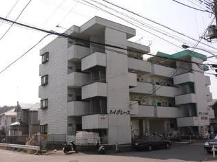 ハイグレースの画像