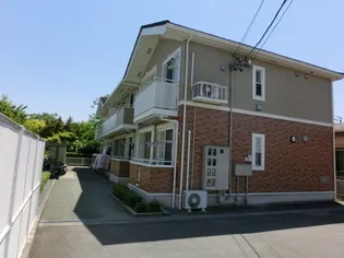 プラム グローヴの画像