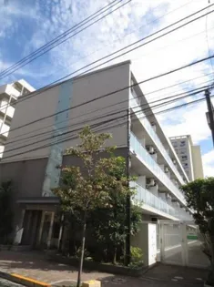 MARK FORESTの画像