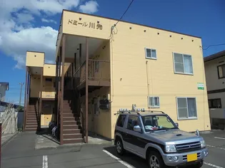 ドミール川先【2階】の外観