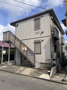 アネシスの画像