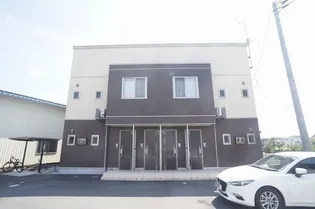 セルシャンプBの画像