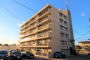 菜根アルザスの画像