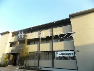 アネシスの画像
