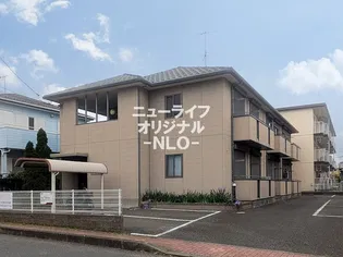 メルヴェーユヤマドリの画像