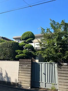 MKハイムの画像