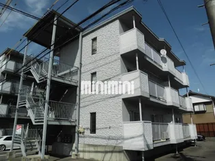 オーガストIIの画像