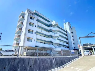 モイドープ和田の画像