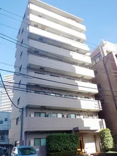 ムーンリットコートの画像