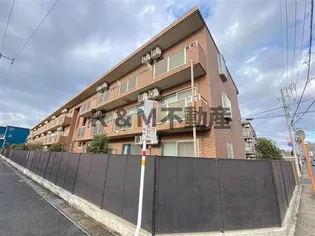 モアルヤタ藤の画像