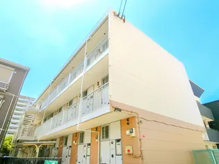 大阪府大阪市平野区平野西2【マンション】の外観