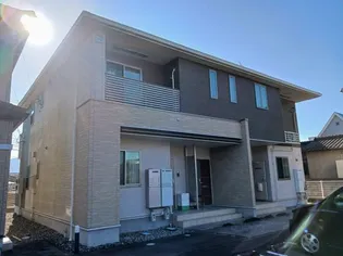 オリーブA Bの画像