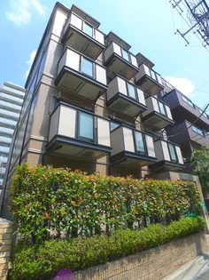 エクセラ南浦和【4階】の外観