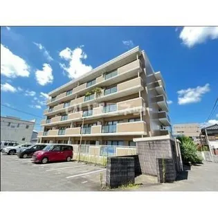 ユメックスピュアの画像