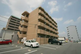 マリベールの画像