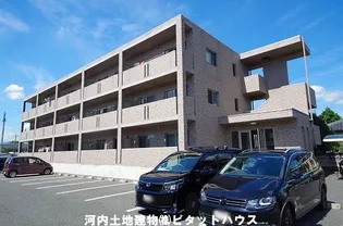 ソル レヴァンテIIの画像