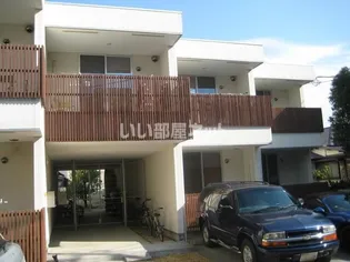 シトロンコートの画像