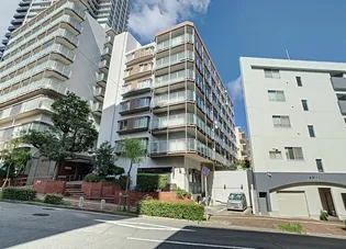 山手ダイヤハイツ【8階】の外観