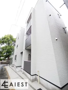 レイパパレの画像